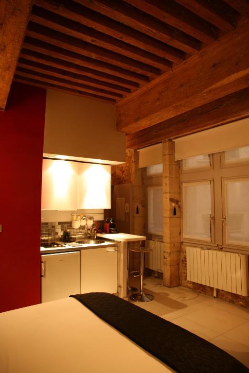 Loge Saint Jean Apartment Lyon Exterior photo